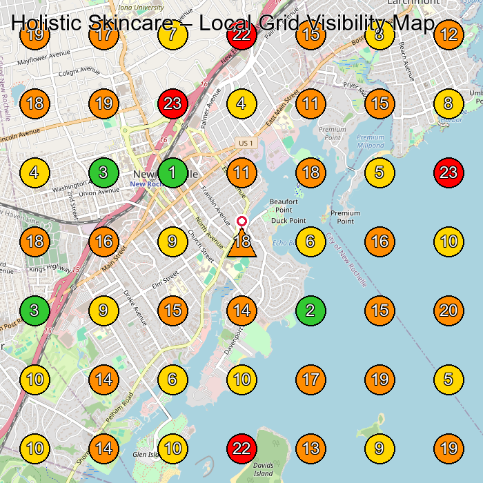 Holistic Skincare Skin Care Clinic GeoGrid ranking map for New Rochelle NY